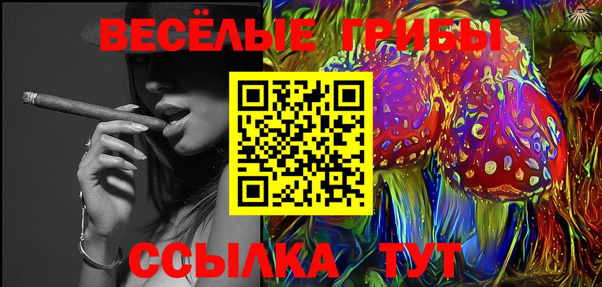Псилоцибиновые грибы мицелий  Вход с VPN  Галлюциногенные грибы Psilocybe  Обь 